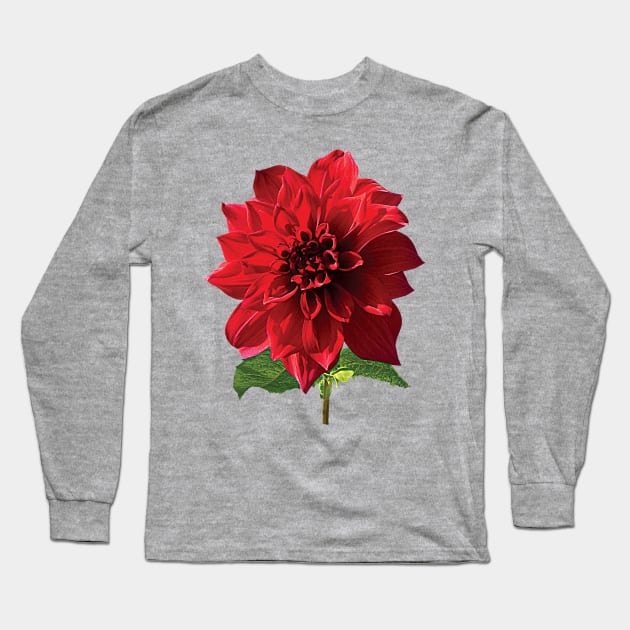 Dahlia Spartacus Long Sleeve T-Shirt by SusanSavad